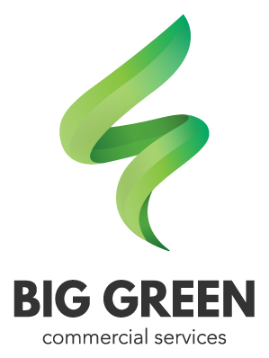 Big Green CS
